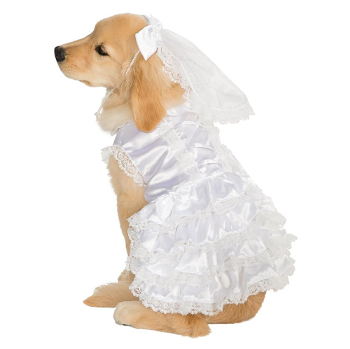 שמלת כלה לכלבה במבחר גדלים אביזר צילום הורס שאתם כל כך תהינו ממנו