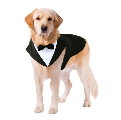 חליפת חתן לכלב טוקסידו משגע לכלב במבחר מידות שימיס את הלב של האורחים שלכם
