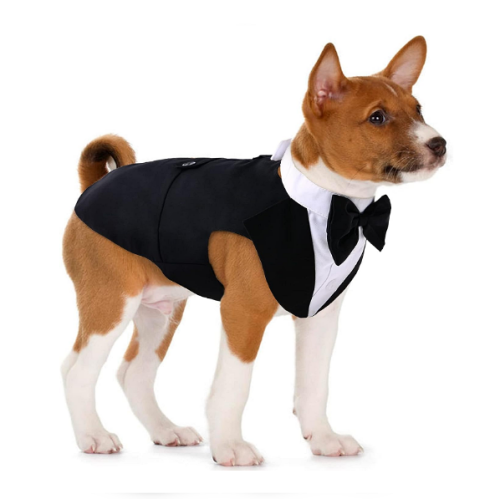 טוקסידו רשמי לכלבים גדולים בינוניים שמלת חליפה עניבת פרפר לכלב, לבוש ג'נטלמן כלב עם עניבת פרפר, תחפושת בנדנה חולצה, סט 2 חלקים