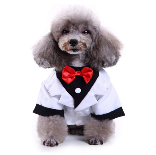 חליפת חתן לכלב במבחר צבעים פופולאריים כחול שחור לבן ובעיצוב אלגנטי מושך עין ושובה לב
