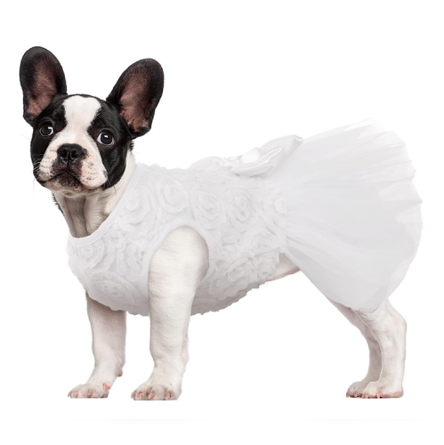 שמלת כלה לכלבה בעיצוב רומנטי עם טופ פרחוני וחצאית טוטו מושלמת עם רצועה אלסטית לנוחיות מושלמת