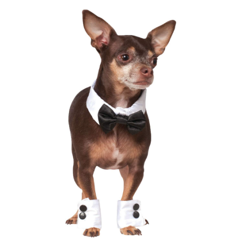 חליפת חתן לכלב סט עניבת פרפר וחפתים מדליקה במיוחד עם התאמה מושלמת למידות הכלב שלכם ולנוחיות שלו