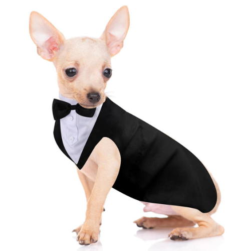 טוקסידו לכלב בסטייל חתיכי ומרהיב במיוחד מתאים לכלבים בינוניים וגדולים