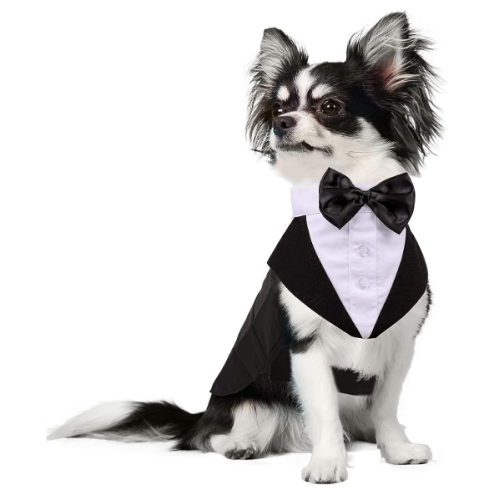 חתונה עם כלב טוקסידו רשמי לכלבים גדולים בינוניים תלבושת למסיבת חתונה עם צווארון עניבת פרפר ניתן להסרה נאה אלגנטי