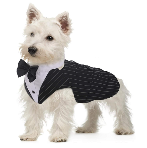 טוקסידו לכלבים חליפת טוקסידו רשמית לכלבים בינוניים גדולים, תחפושת טוקסידו לכלב, תלבושת למסיבת חתונה עם צווארון ניתן להסרה, חולצת עניבת פרפר אלגנטית וסט בנדנה - מבחר מידות