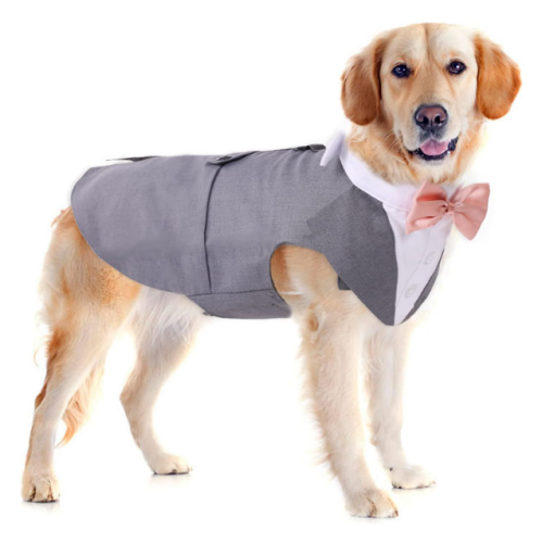 טוקסידו כלב חליפה מרשימה ומושקעת באפור ורוד או שחור אדום שתהפנט את האורחים שלכם ותצטלם נהדר - מבחר של מידות