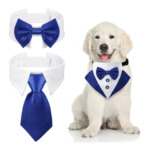 בגדים לכלבים טוקסידו סט 3 חלקים מטריף בכחול רויאל או שחור קלאסי הכולל: בנדנה, עניבת פפיון ועניבה רשמית קלאסית