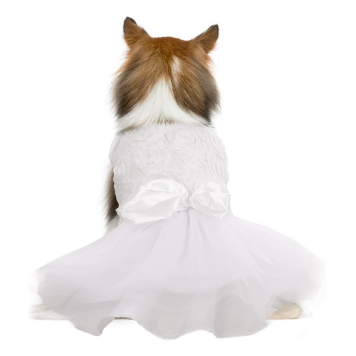 שמלת כלה לכלבה בעיצוב וינטג' רומנטי ושובה לב במבחר גדלים שיתאימו בדיוק לנסיכה שלך